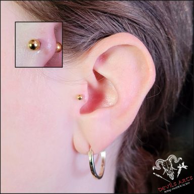 Tragus-Piercing mit goldenem Barbell am Ohr.