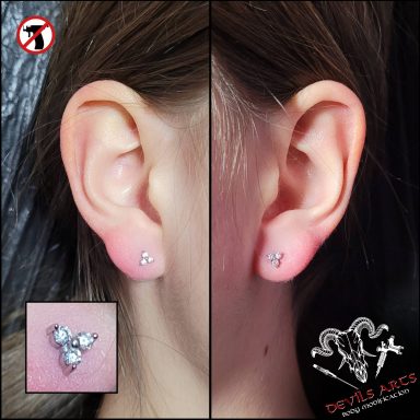 Zwei Lobe-Piercings Ohrringe mit silbernen Kristallblumen-Ohrsteckern.